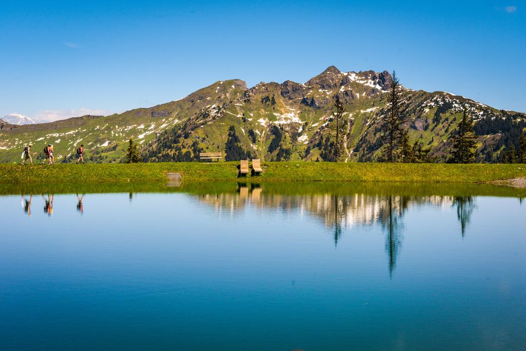 Silberkrug Otel Dorfgastein Dış mekan fotoğraf